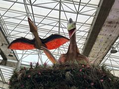 -沈阳植物园