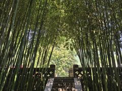 -泰山风景名胜区-普照寺