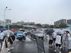 -小麦岛公园