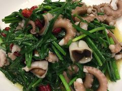 八爪鱼炒韭菜-双井轩(双井店)