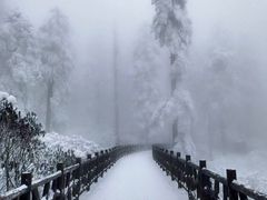 -瓦屋山景区