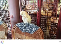 -四海楼(如皋定慧禅寺店)
