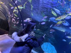 -太平洋海底世界