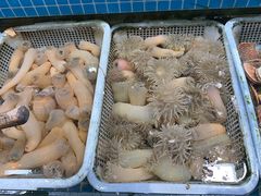 -望海潮海鲜店 特色家常菜(在海一方店)
