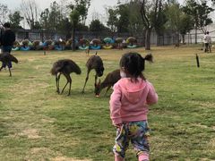 -南京金牛湖风景区