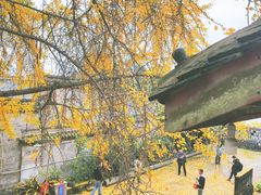 -金堂县云顶石城风景区
