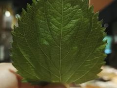 -鲤·鮨KOISUSHI