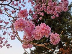 -桃花涧