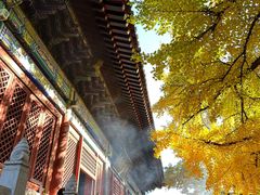 -红螺寺