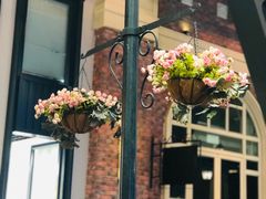 -香巴拉云南餐厅(华莱坞店)