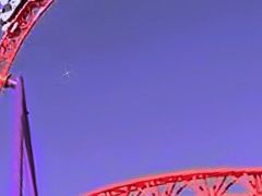 -上海海昌海洋公园