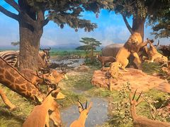 -国家自然博物馆