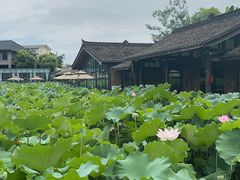 -三圣花乡旅游区