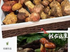 -蘑界·野生菌火锅(深业上城店)