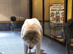 -大江户·温泉洗浴(浑南店)