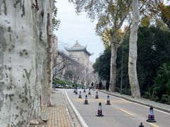 -武汉大学-樱园