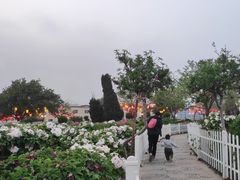 -曹州百花园