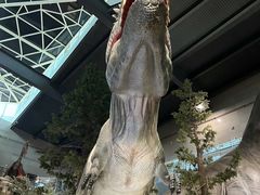 -湖南省地质博物馆