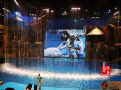 -芜湖新华联大白鲸海洋公园