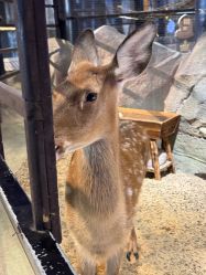 -酷嗒动物文化乐园(cutezoo西溪乐天城店)