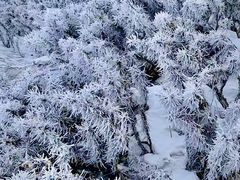 -灵山