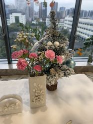 -智美品质医美