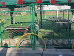 -尚庄度假村·庭台树下·户外烧烤·团建CS·轰趴营地(上庄水库店)