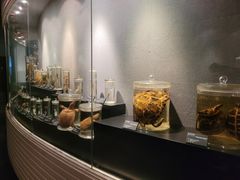 -昆明动物博物馆