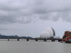 -野狸岛