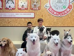 -和它·交个朋友·狗咖猫咖(爱琴海店)