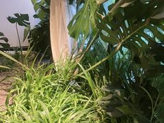 -太守宴·蘭院(天塔店)