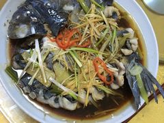 -煲来饱去冷水鱼