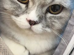 -FAELING PETS美天灵宠物(合生汇店)