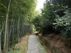 -天下玉苑