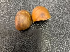 -金栗王(清扬路店)