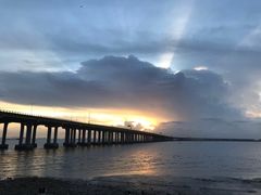 -宝安西湾红树林湿地公园