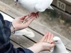 -音乐台