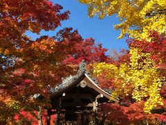 -常寂光寺