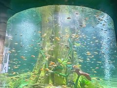 -合肥海洋世界