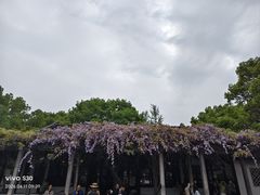 -西园寺素食(西园弄戒幢律寺店)