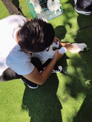 -萌宠亲子动物乐园(槐房万达店)