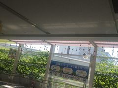 -中部国际机场