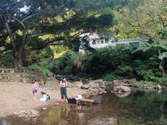 -广州市石门国家森林公园