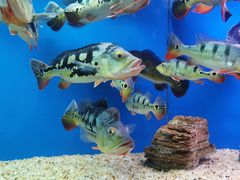 -水上乐园·欢乐世界