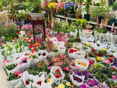 -双季花艺园艺市场(浦东店)