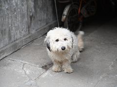 -佰仙面馆