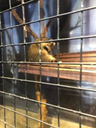 -酷嗒动物文化乐园(cutezoo西溪乐天城店)