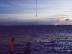 -宝安西湾红树林湿地公园