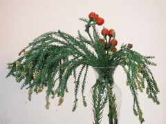 -肥朵食堂(带梦胡同店)