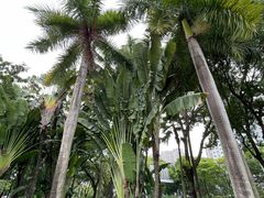 -荔香公园